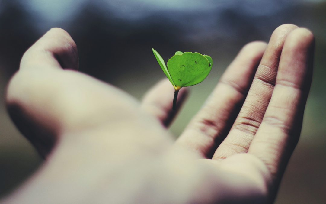 Comment fonctionne l’assurance vie en 2025 ?